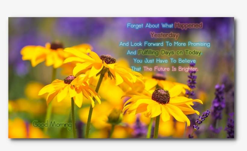 Good Morning Good Night Flower For Android - Quotes Images For Happy Father's Day With Nature, transparent png