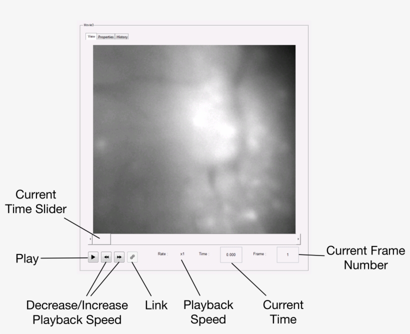 Images/gui View Movie - Flat Panel Display - 2986x2291 PNG Download ...