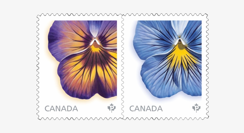 Laurie Koss Stamps - Canada Post Card Stamp Png, transparent png