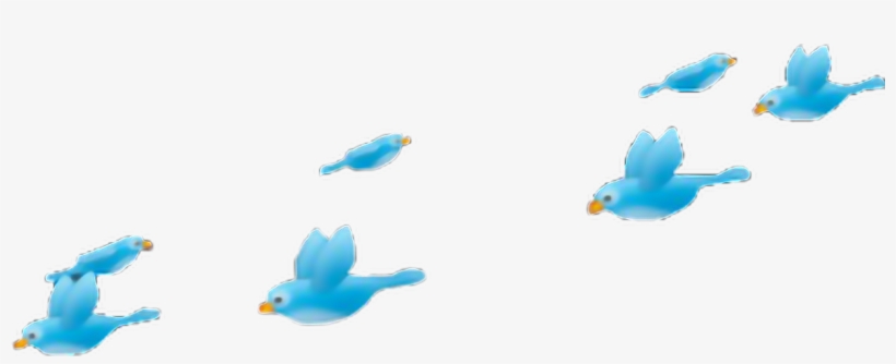 Report Abuse - Png Passarinhos, transparent png