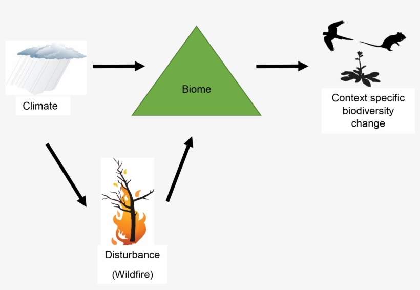 Graphical Abstract - Diagram, transparent png