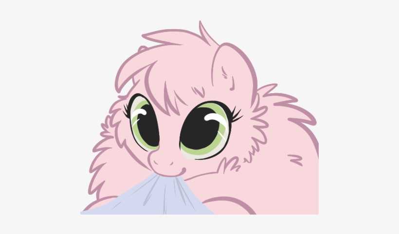 Pony Face Pink Nose Facial Expression Mammal Vertebrate - Cat, transparent png