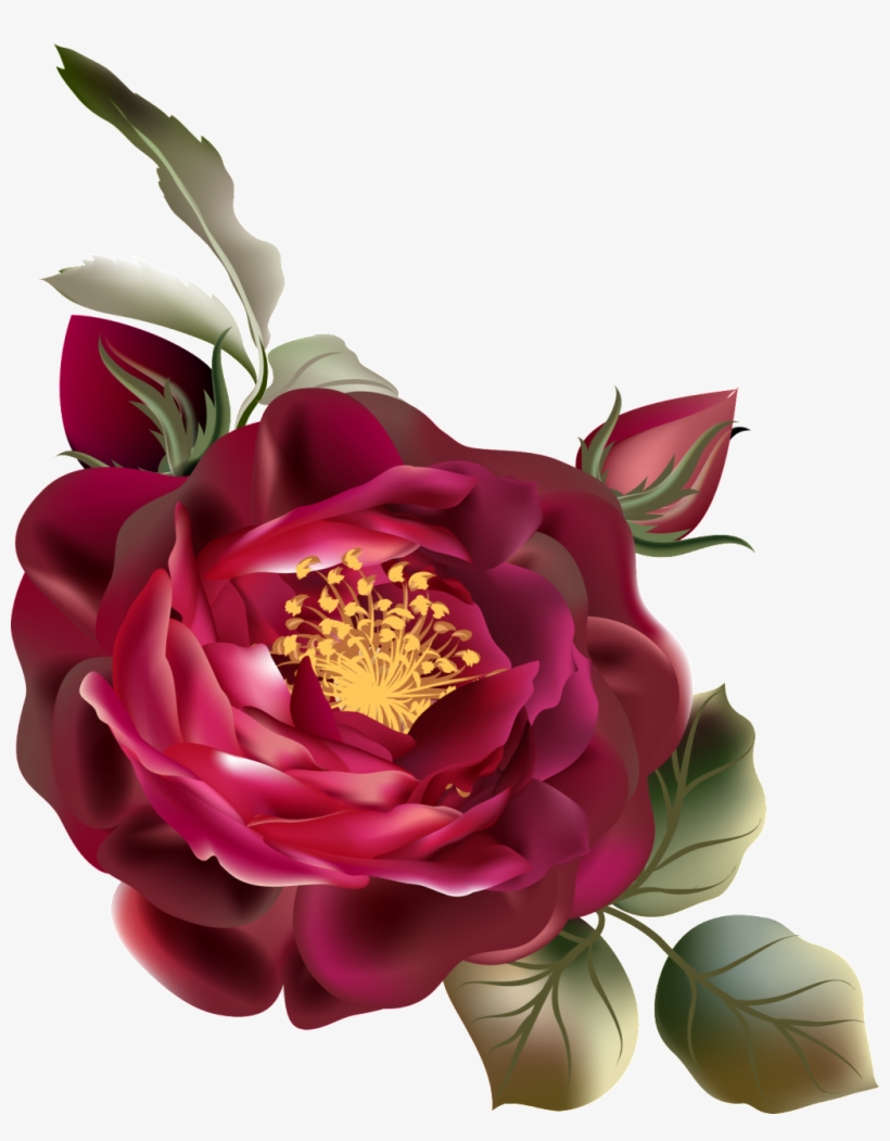 Png De Ornamentação De Cor De Rosa Vermelha - Vintage Flowers Png, transparent png