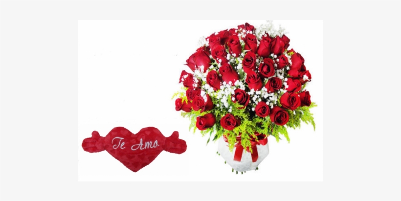 Fotos De Rosas Vermelhas, transparent png