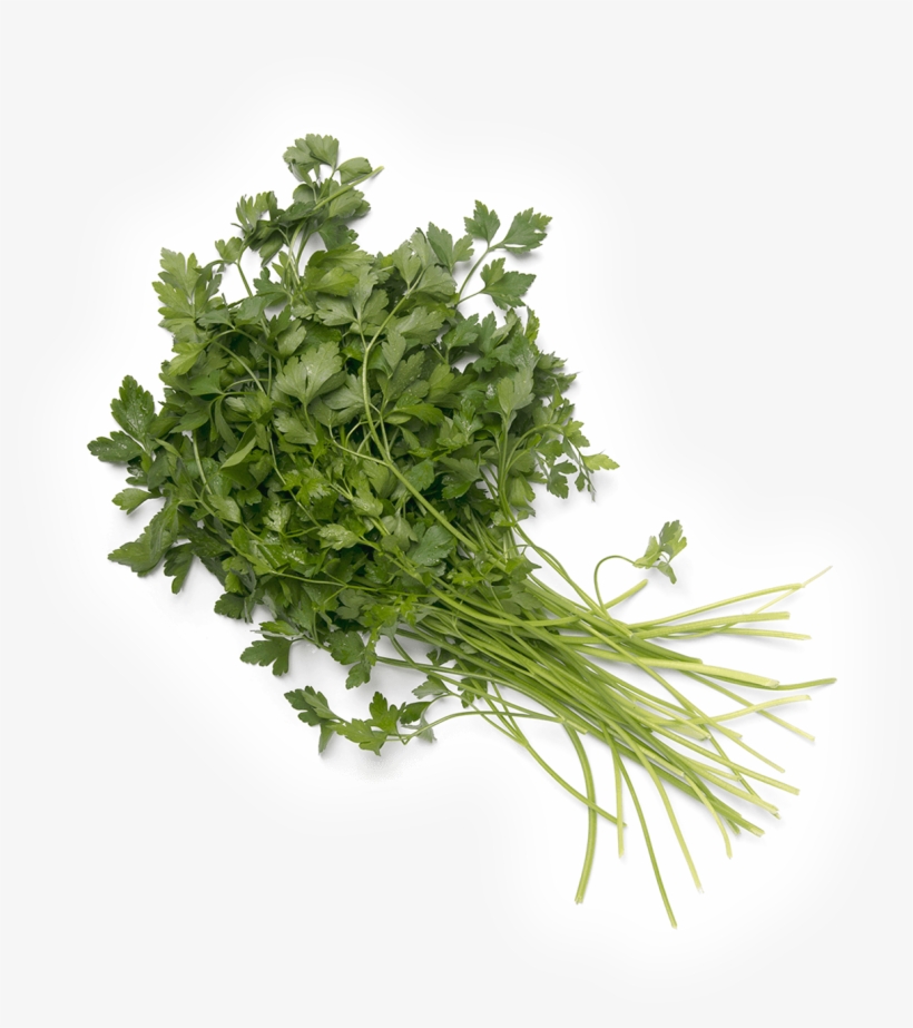 Bouquet Garni, transparent png