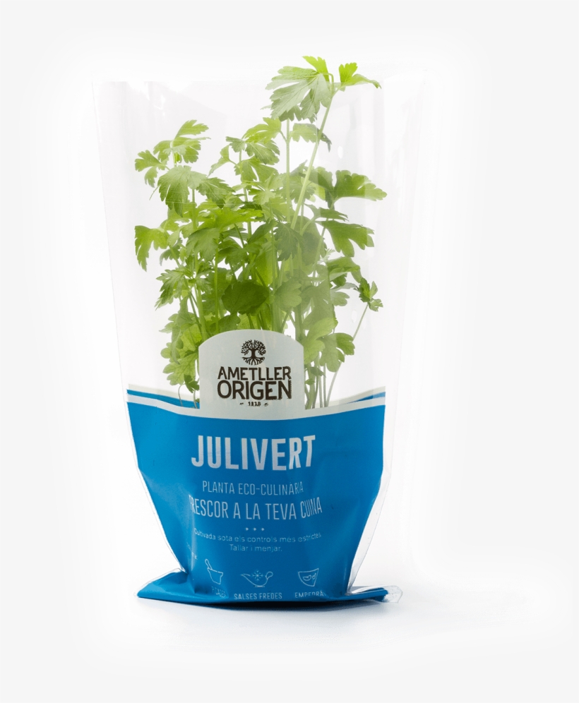 Parsley, transparent png