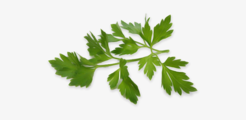 Je Teste Le Régime Sans Sel, transparent png