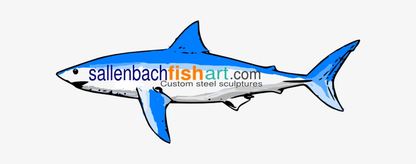 Shark Logo, transparent png