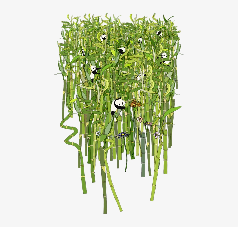 Click And Drag To Re-position The Image, If Desired - Giant Panda, transparent png