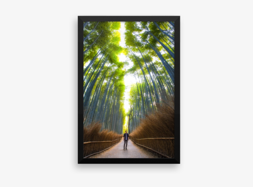 Japan Bamboo Forest - Bamboo Forest, transparent png