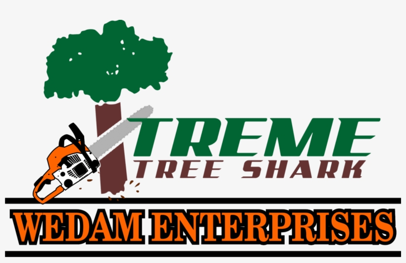 Xtreme Tree Shark Logo - Wisconsin, transparent png
