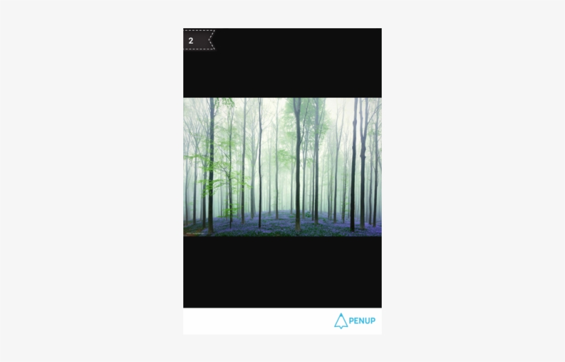 夢境 森林, transparent png