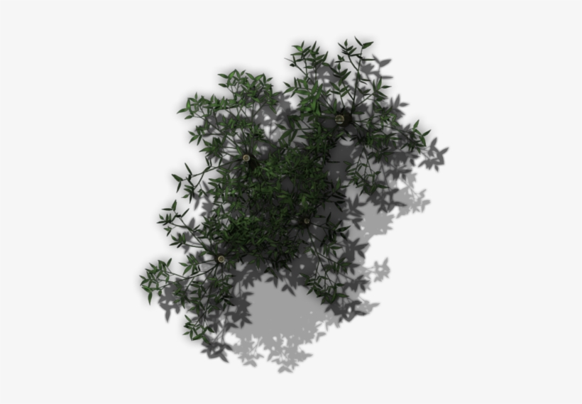Qebf Night Bamboo Stand 3 - Moss, transparent png