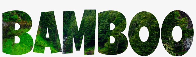 Bamboo Empire - Thuya, transparent png