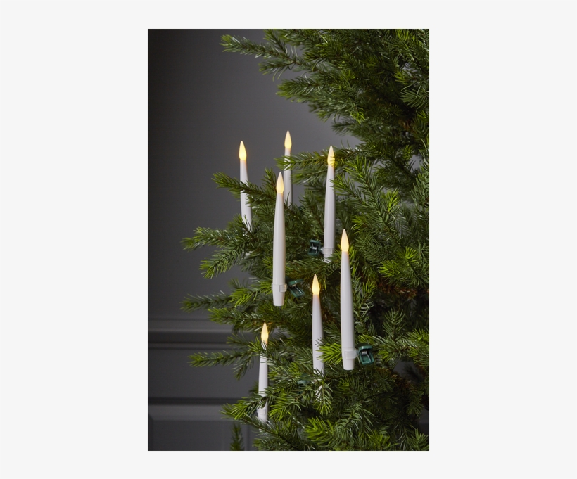 Candle Tree Lights Paulina - Star Trading Led Leuchtkerzen 10er Set - Paulina, transparent png