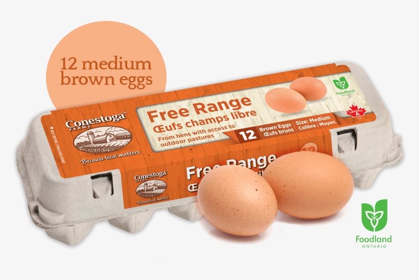Ontario Local Free Range Eggs - Free Range Eggs Png, transparent png