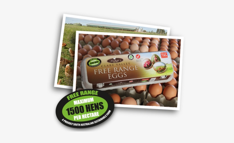 Eggcarton2 - 1500 Hens Per Hectare, transparent png