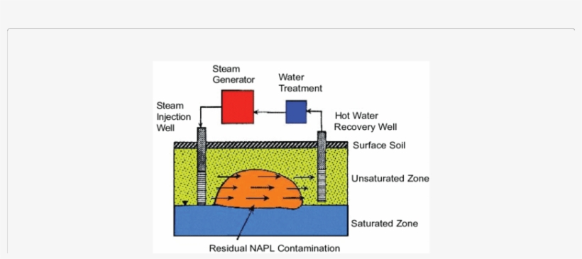 Steam Enhanced Extraction - Journal Of Analytical Toxicology, transparent png