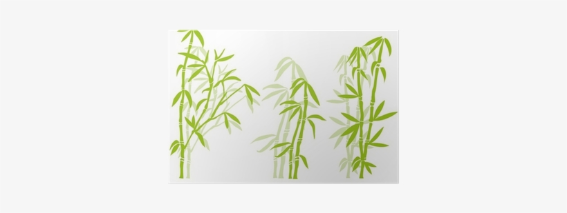 Bamboo Tree, transparent png