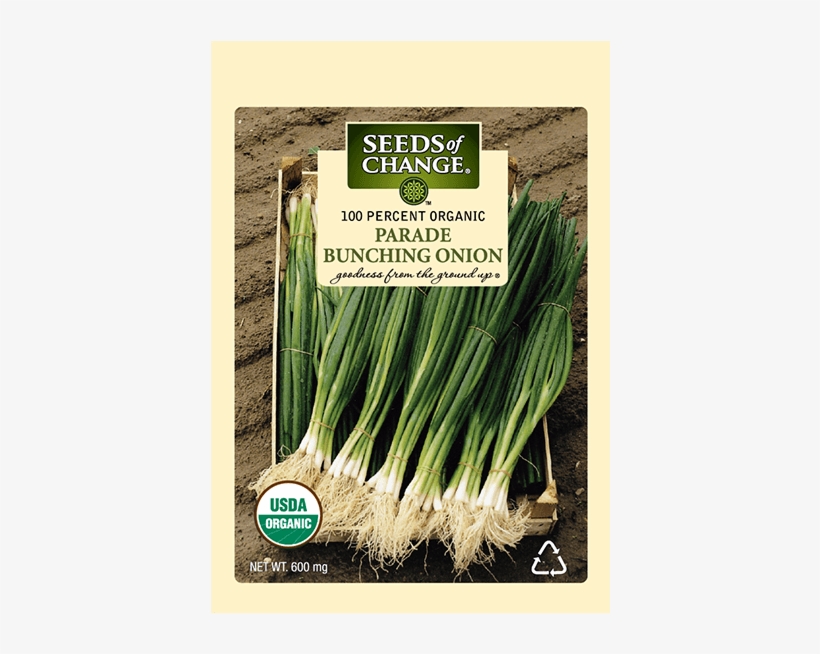 Organic Parade Bunching Onion Seeds - Seeds Of Change, transparent png