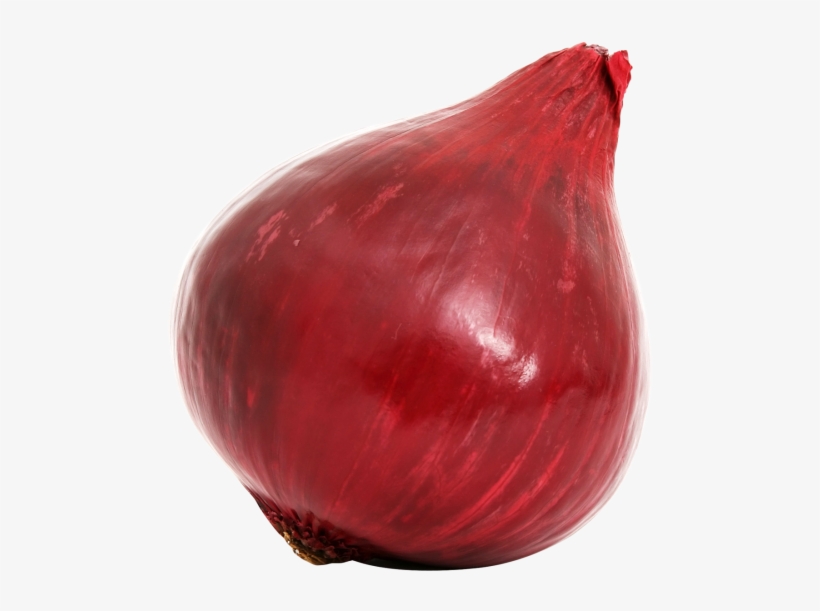 Download Red Onion Bulb Png Image - Red Onion Transparent, transparent png