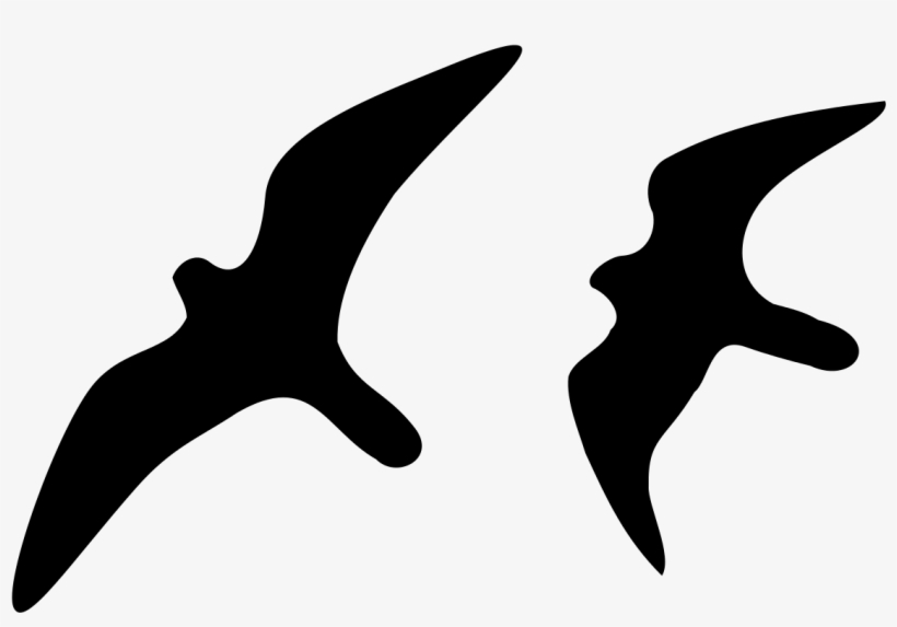 File - - Svg - Silueta De Halcon Peregrino, transparent png