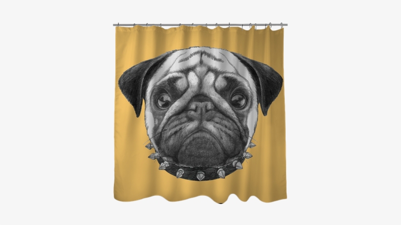 Hand Drawn Portrait Of Pug Dog With Collar - Art Print: Victoria Novak's Original Drawing Of Pug, transparent png