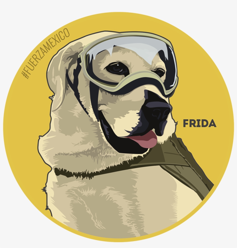 Christmas Pug - Pug, transparent png
