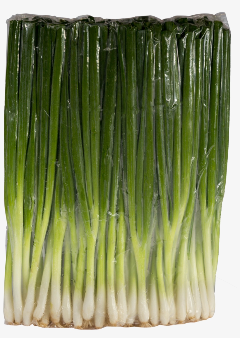 Products - Chives, transparent png