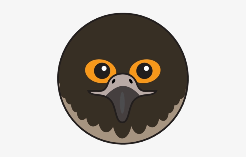 Animaru Peregrine Falcon - Cartoon, transparent png