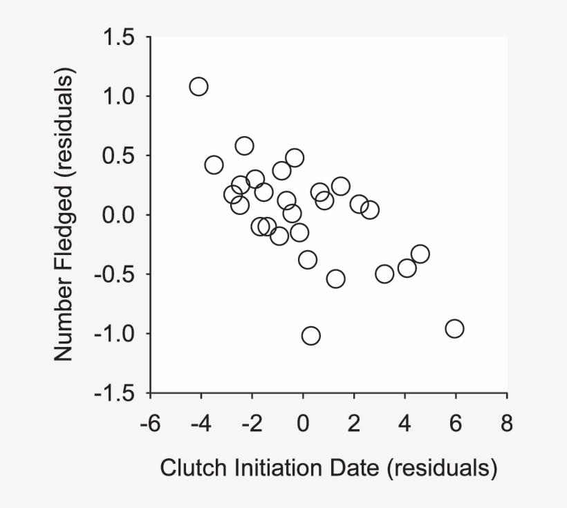 Number Of Offspring Fledged By Peregrine Falcons Breeding - Number, transparent png
