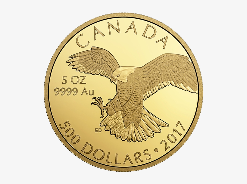 Pure Gold Coin Peregrine Falcon Mintage - Gold, transparent png