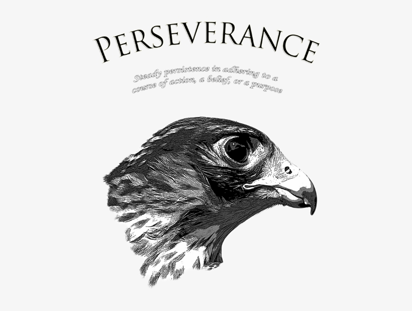 Click And Drag To Re-position The Image, If Desired - Drawing, transparent png