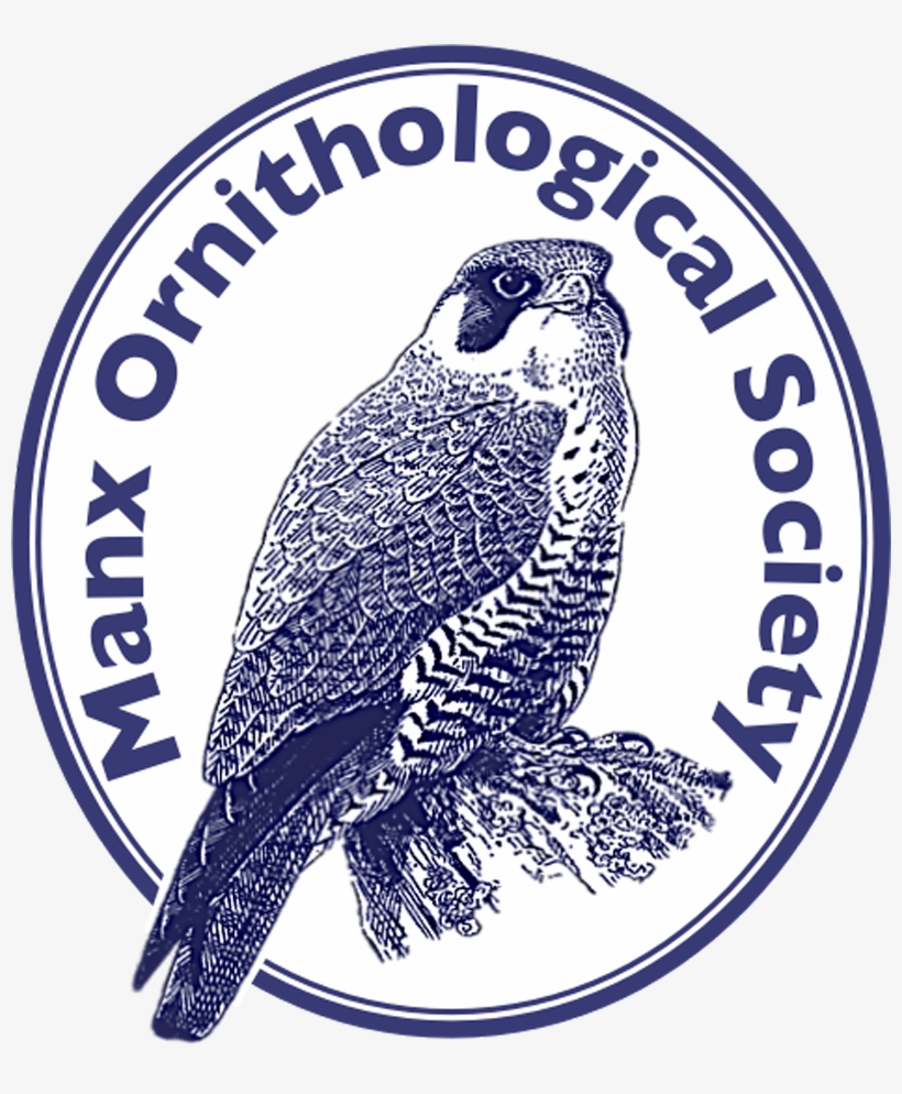 Manx Ornithological Society - Parrot, transparent png