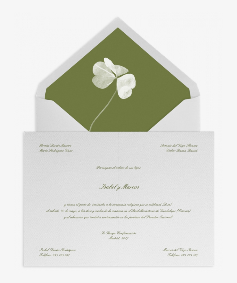 Trebol - Jasmine, transparent png