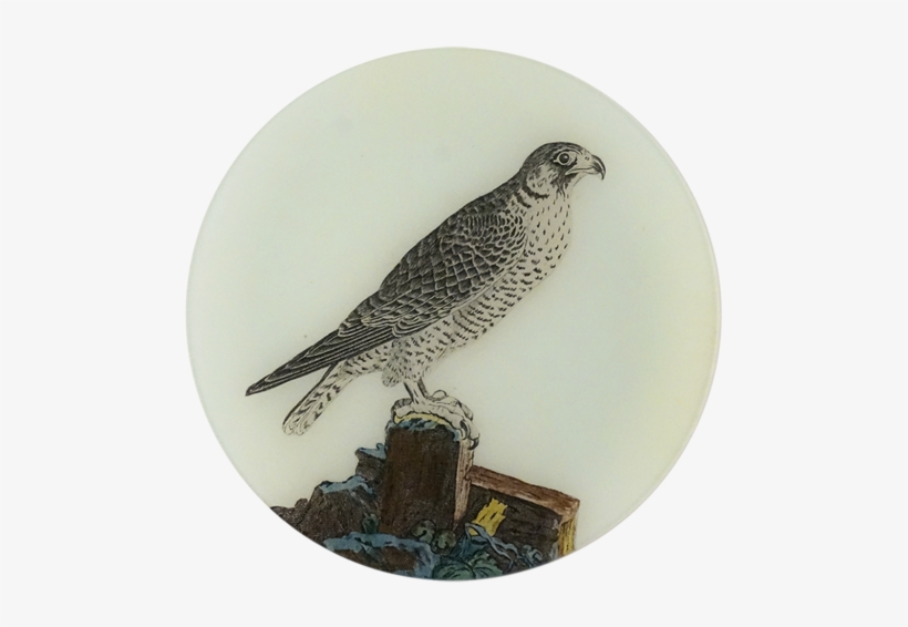 The Falcon The Falcon - The Falcon, transparent png