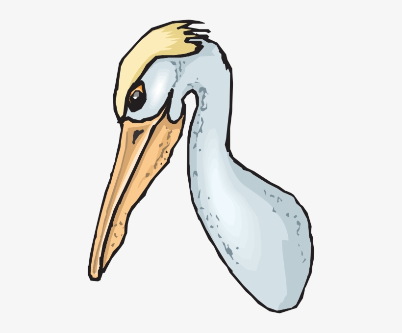 Pouch Like Beak Clipart, transparent png