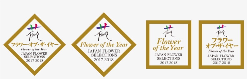 “best Flower” Prize - 헬 조선 의료 사고, transparent png