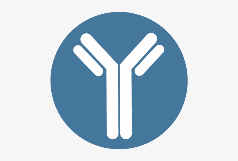 Antibodies - Sign, transparent png