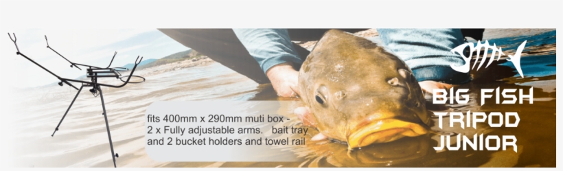 Big Fish Tripod Junior - Tripod, transparent png