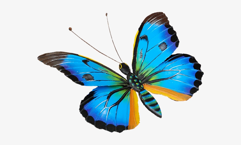 Colors - Biografia De Una Mariposa, transparent png