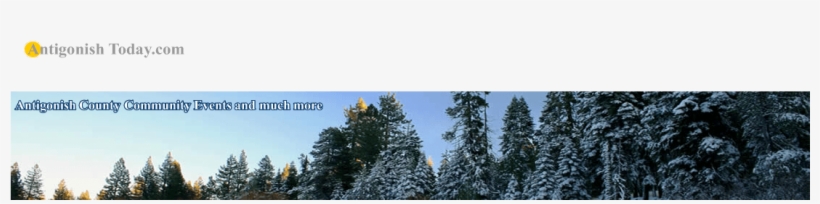 09 Am 22801 Banner Dates 9/30/2016 - Shortleaf Black Spruce, transparent png