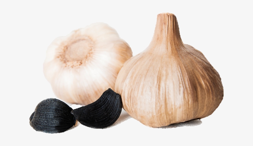 Ajo Negro Español Spanish Black Garlic - Garlic, transparent png