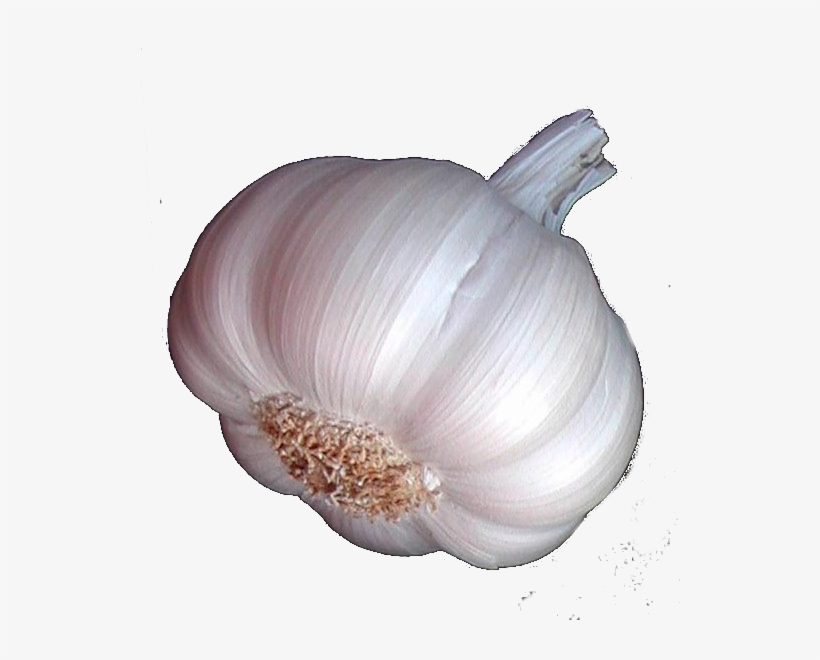 Ajo Ecológico - Cabeza De Ajo Png, transparent png