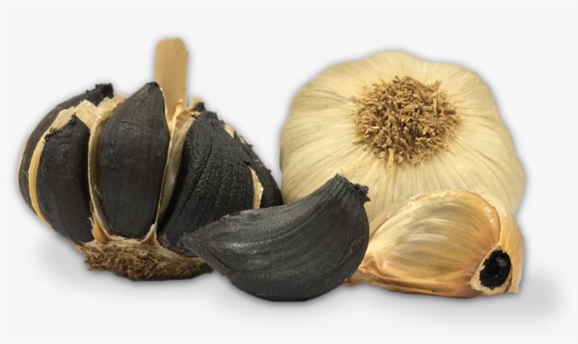 Ajo Negro Pedroñete - Black Garlic, transparent png
