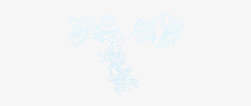 Sketch, transparent png