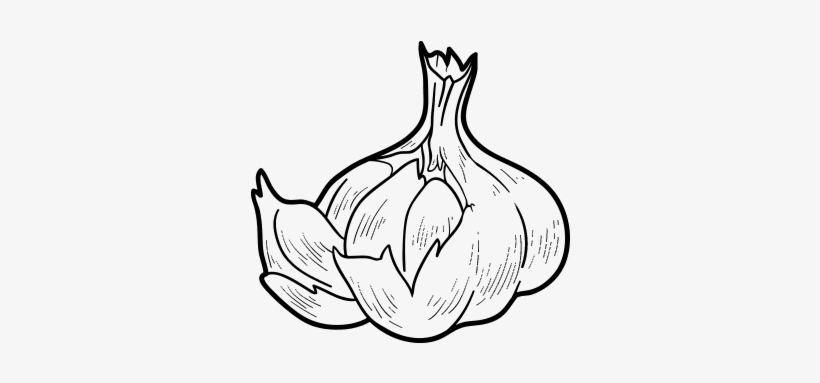 Alho Desenho Png - Dibujos De Un Ajo, transparent png