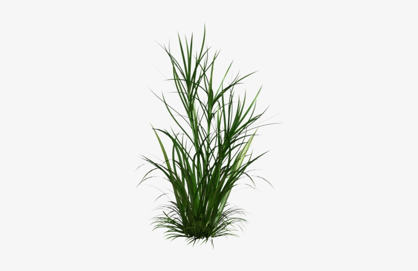 Autocad, Sculpting, Clip Art, Rpg - Shrubs Png, transparent png