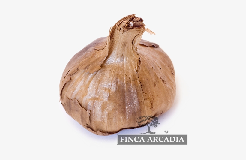 Ajo Negro - Black Garlic, transparent png