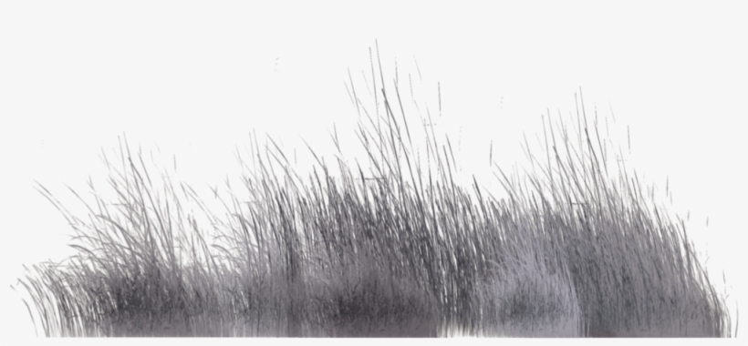 Winter Vegetation By Wolverine041269 On Deviantart - Png Plants Black And White, transparent png